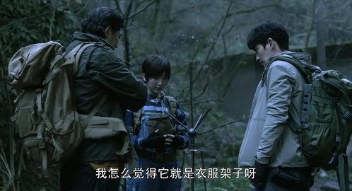 重启2免费全集在线观看,免费全集在线观看，揭秘神秘事件背后的真相