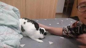 坐老公头上被舔,夫妻亲密互动温馨瞬间