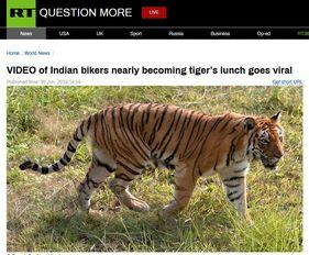 四虎视频在线,在线娱乐新潮流