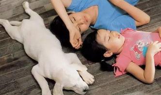 av人与狗sm,AV与狗SM的黑暗面揭露