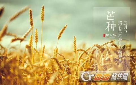 芒种视频,农耕文化传承与现代农业发展