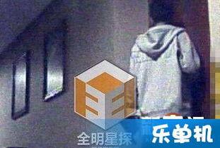 刘凯威最新爆料视频,娱乐圈背后惊人真相