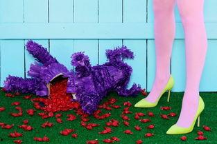 丝袜美脚系列作品,探寻足下风情与时尚交融的艺术之旅