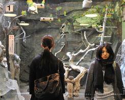 日本电影碎片结局,揭开真相的惊悚终章