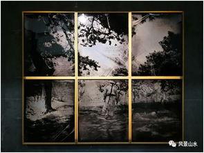 丛林观看免费,免费解锁自然奇观之旅