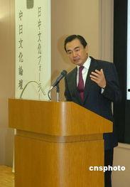 王毅驻日本,深化中日关系新篇章