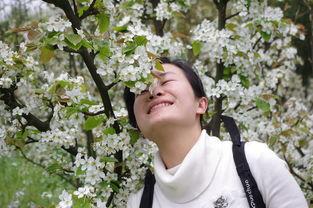 春暖花开的小视频,捕捉美好时光的瞬间