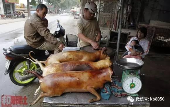 日本重口食,挑战味蕾极限的美食之旅