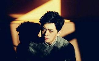 江姓明星,璀璨星河中的璀璨明珠