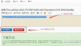西欧 av迅雷下载,畅享欧洲影视盛宴的便捷通道