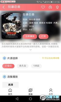 AV83net,揭秘先进视觉处理技术的创新突破