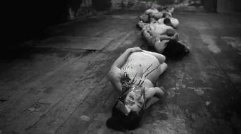 人体蜈蚣系列在线播放,惊悚悬疑，揭秘人体极限的恐怖之旅