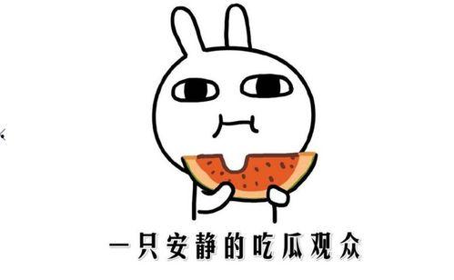 网络中的吃瓜是什么意思,吃瓜群众的趣味与智慧